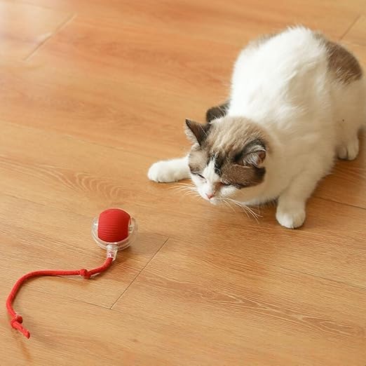Pet Automatic Rolling Ball Toy