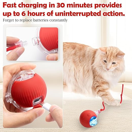 Pet Automatic Rolling Ball Toy